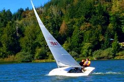 70656 sail boat races